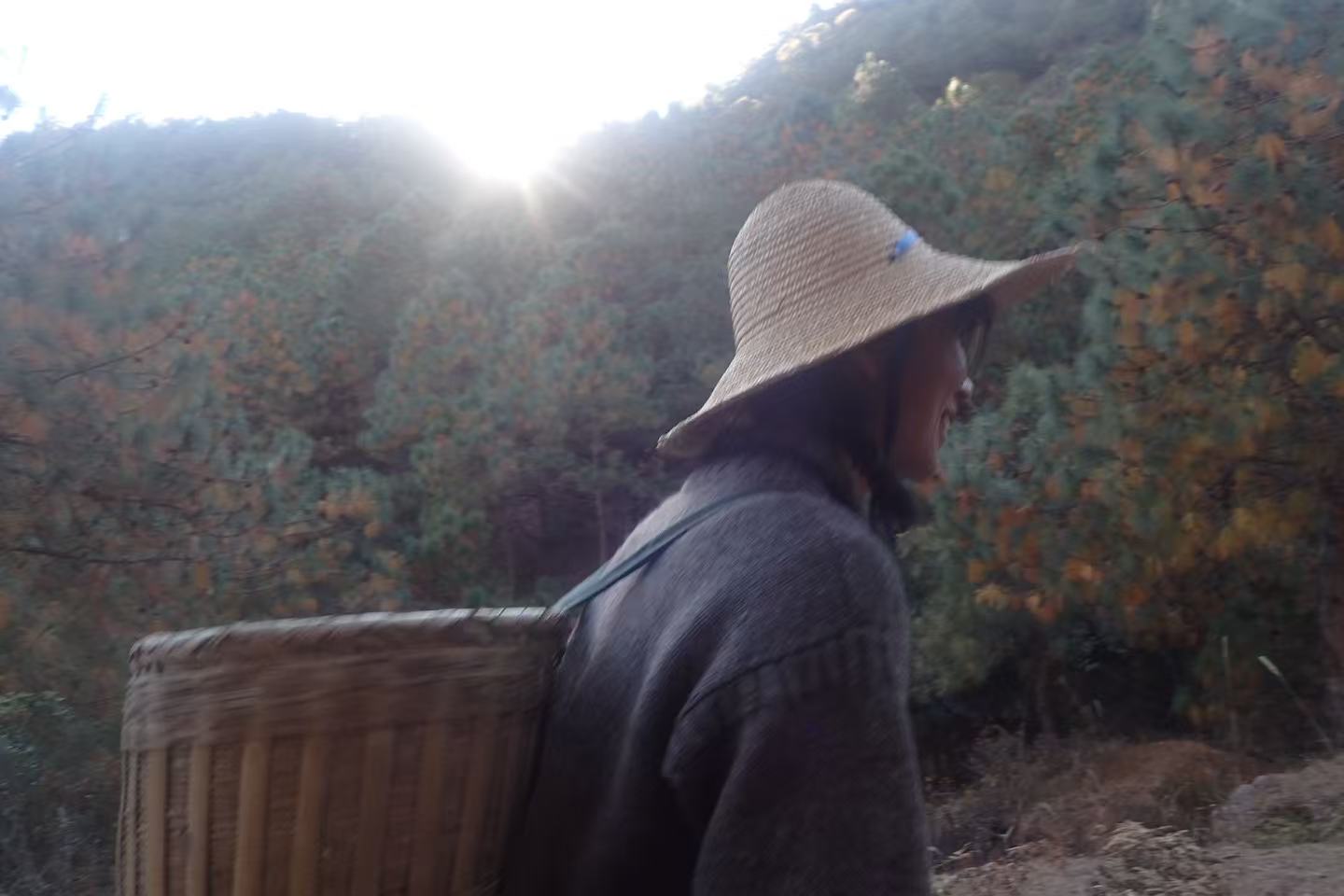 杨米