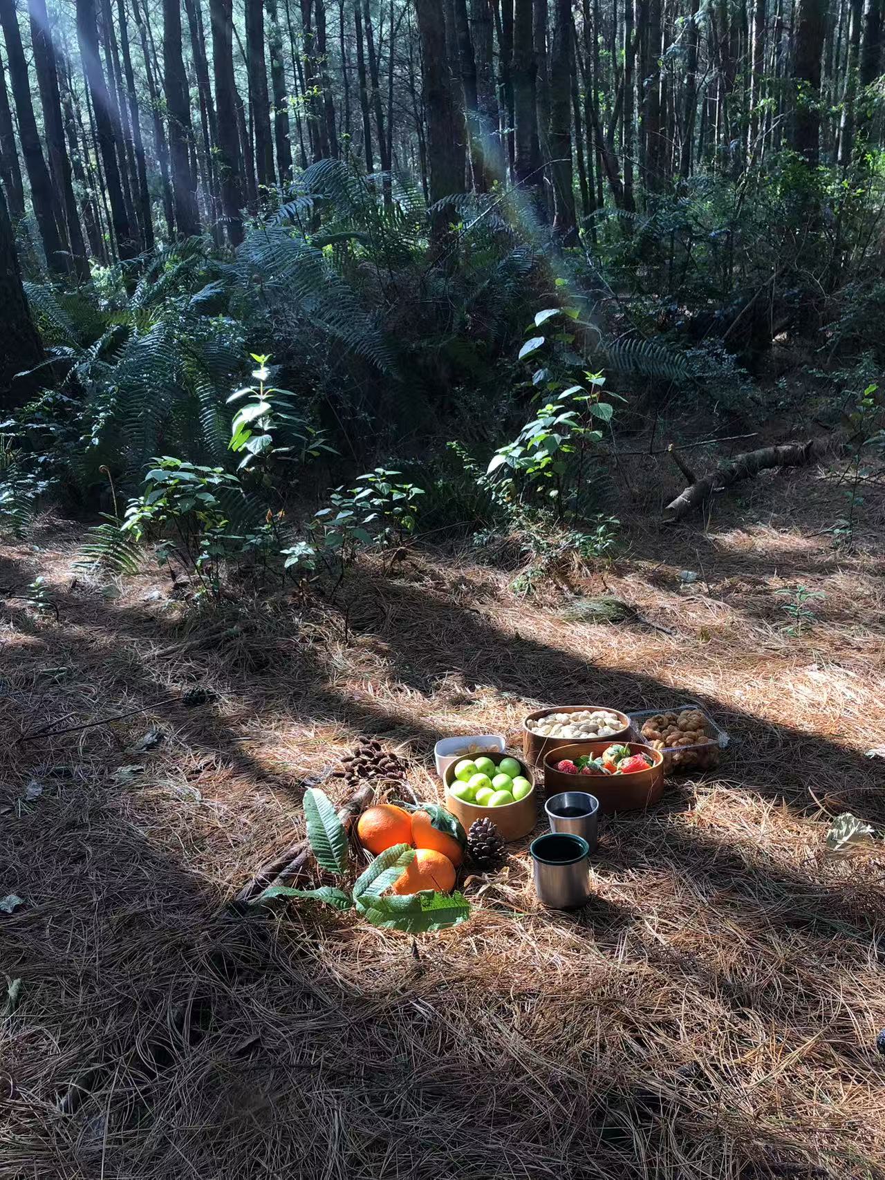 阔松坪轻徒步 | 田野 · 溪流 · 森林