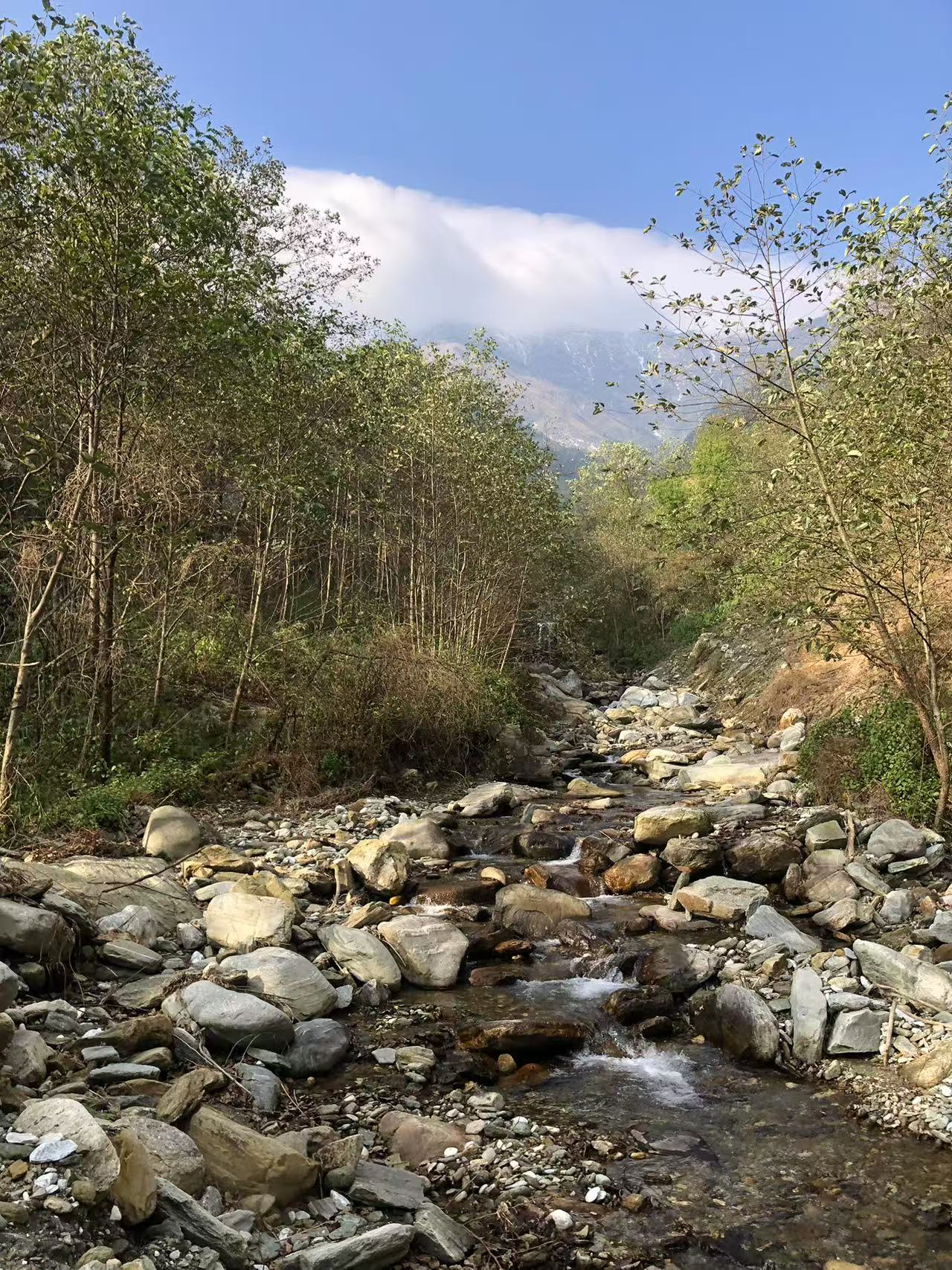 阔松坪轻徒步 | 田野 · 溪流 · 森林