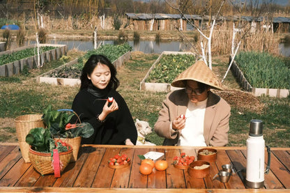 去有机农场采摘 | 和红红一起在家做饭