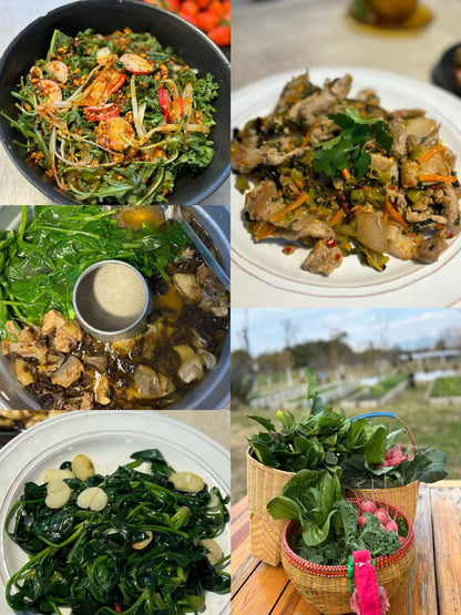 去有机农场采摘 | 和红红一起在家做饭