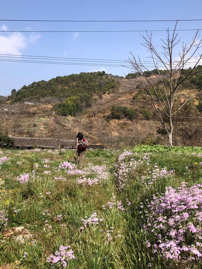 西坡山里人家的一天