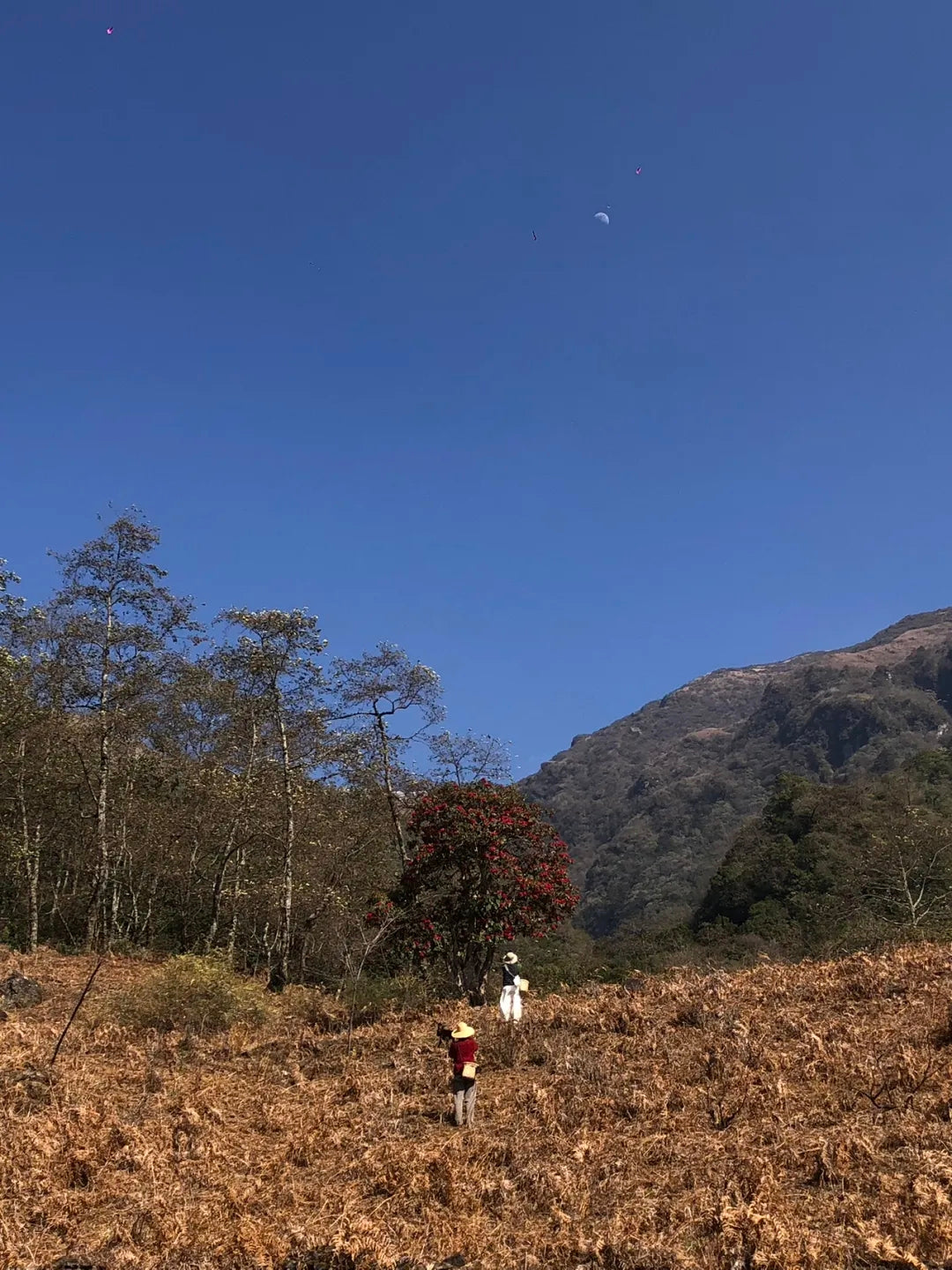 西坡山里人家的一天