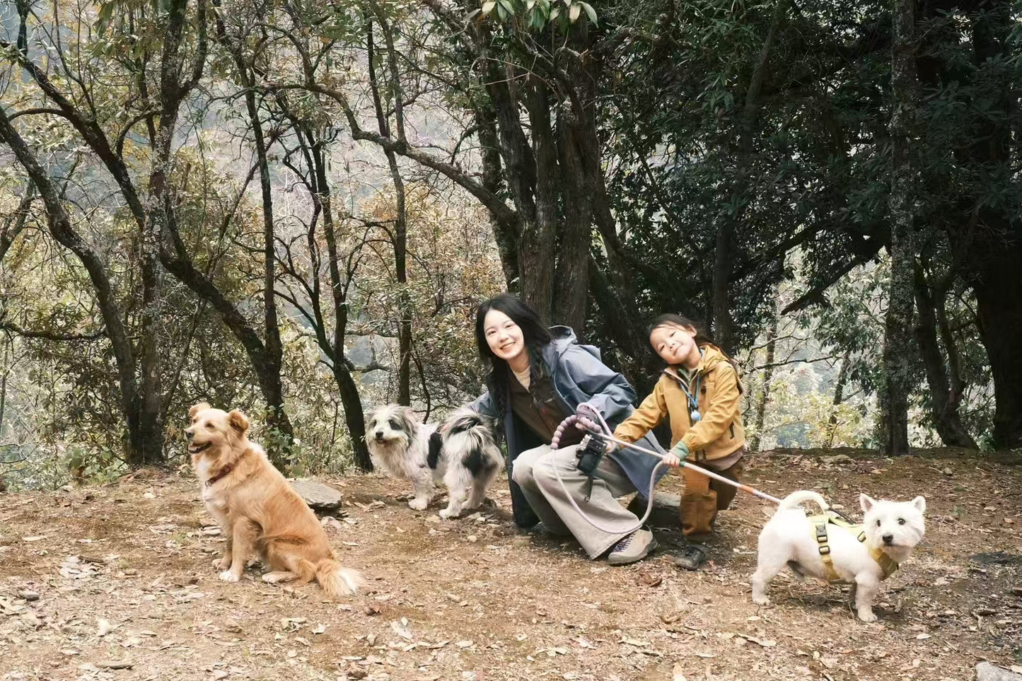 西坡山里人家的一天