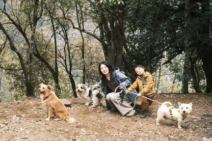 西坡山里人家的一天
