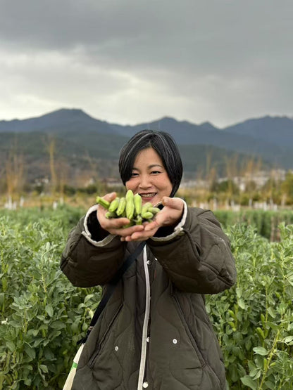 去有机农场采摘 | 和红红一起在家做饭