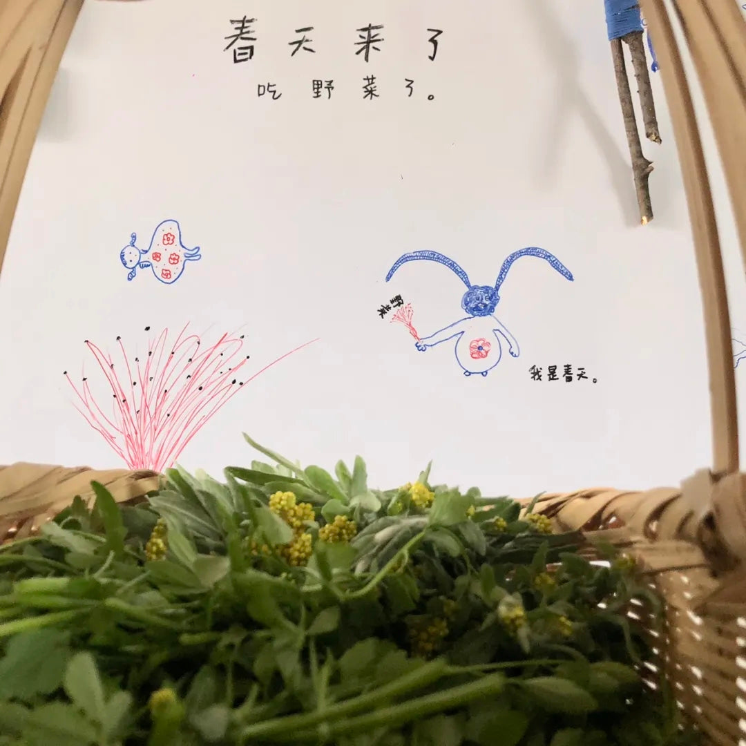 杂草景