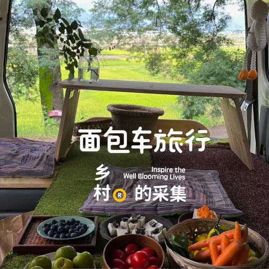 面包车旅行 | 弥苴河畔古树林散步拓染，田边采野菜做天妇罗