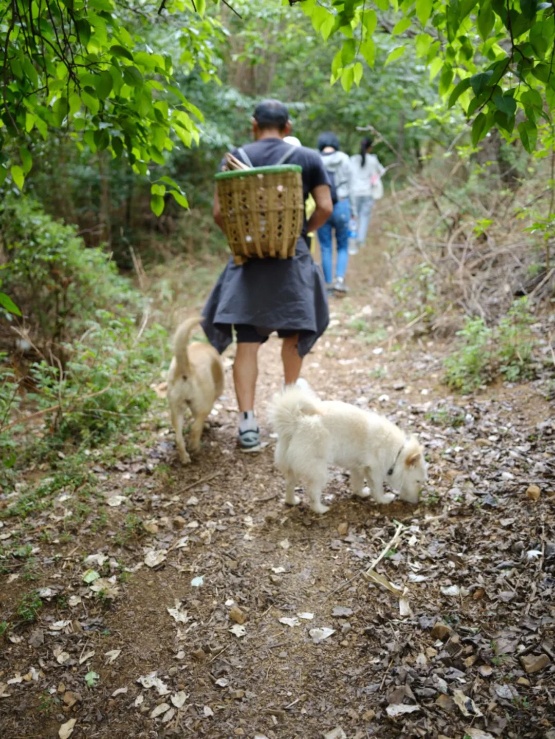 Guides Together 2