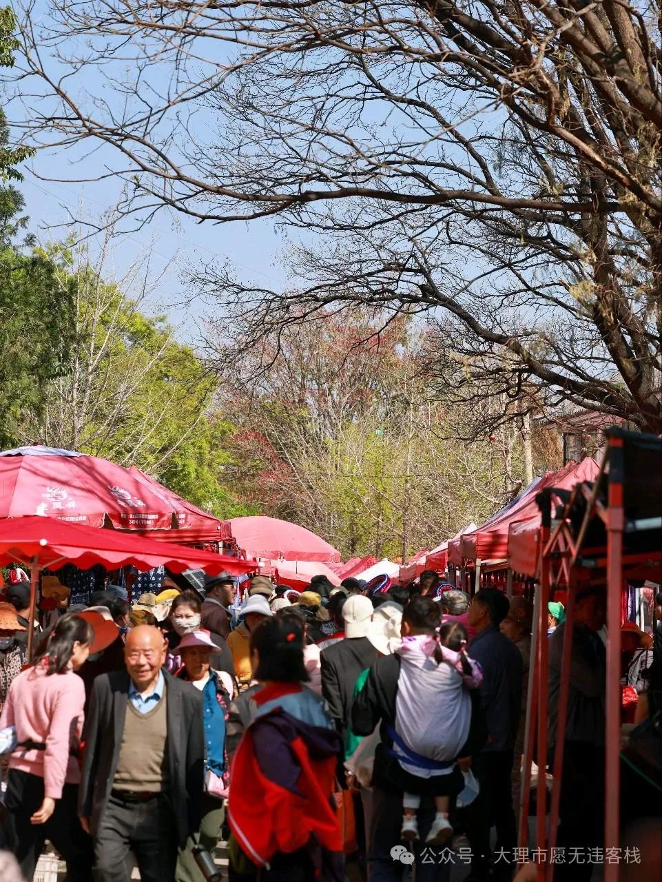 观音塘观音诞辰庙会（农历二月十九）