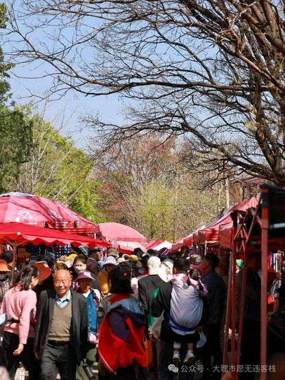 观音塘观音诞辰庙会（农历二月十九）