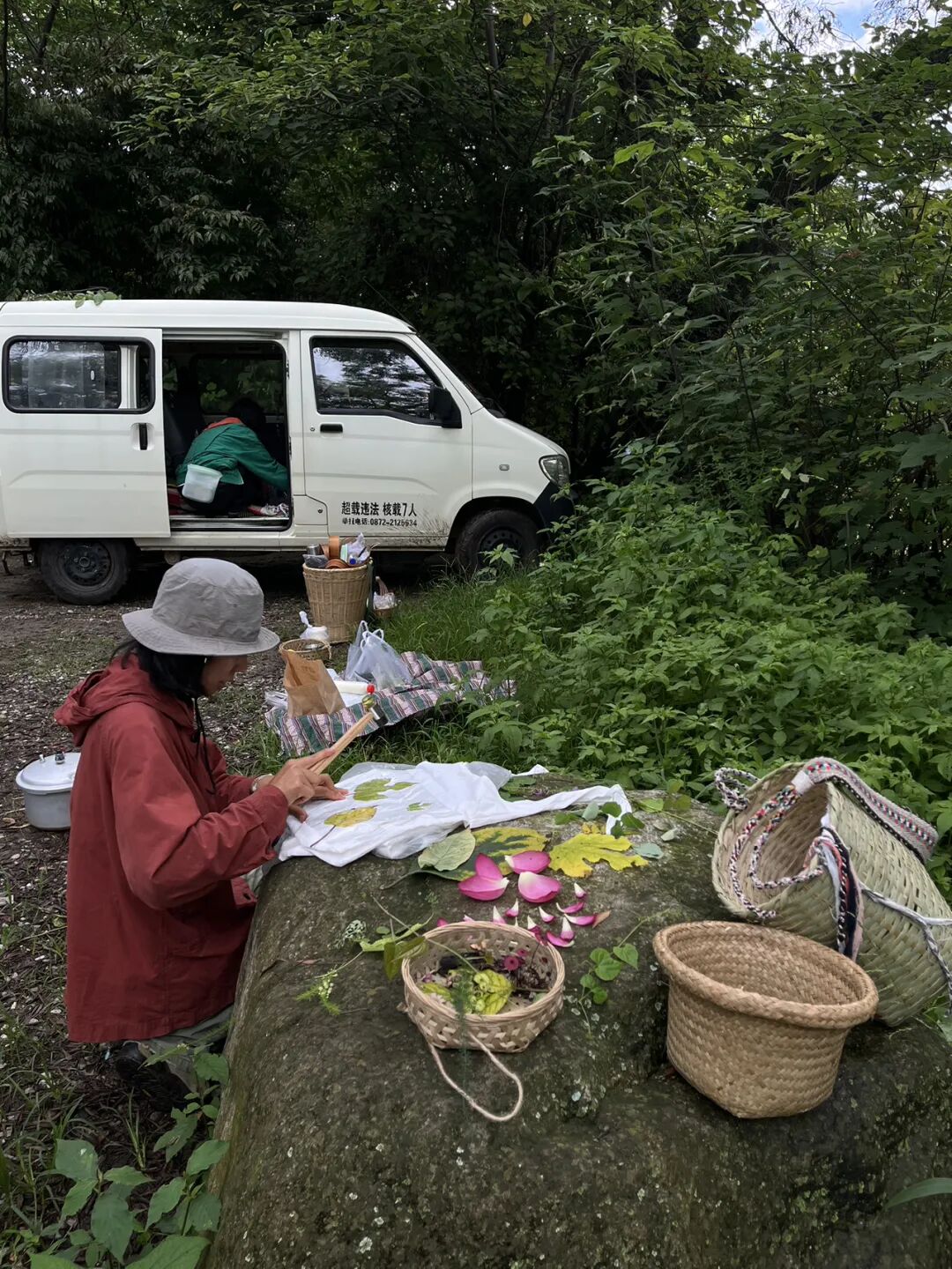 面包车旅行 | 弥苴河畔古树林散步拓染，田边采野菜做天妇罗