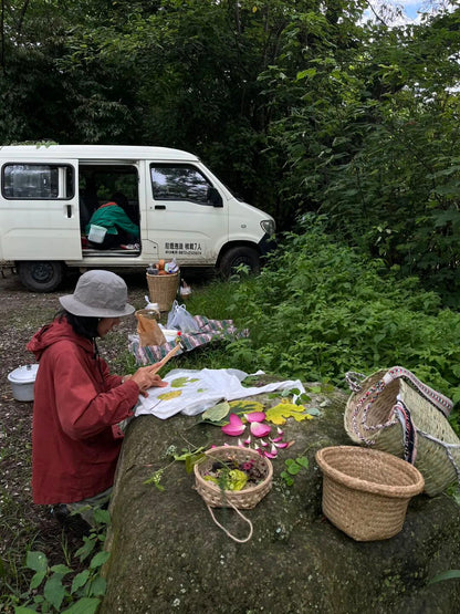 面包车旅行 | 弥苴河畔古树林散步拓染，田边采野菜做天妇罗