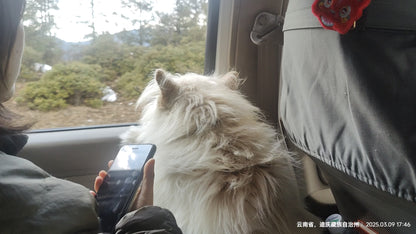 深入香格里拉牧区 2天的旅行