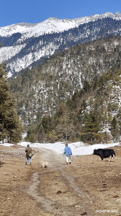 深入香格里拉牧区 2天的旅行