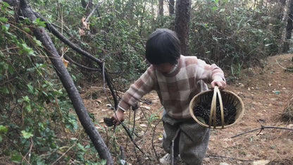 森林野道采蘑菇捡松果 | 徒步后寂照庵吃素斋