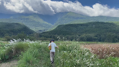 阔松坪轻徒步 | 田野 · 溪流 · 森林