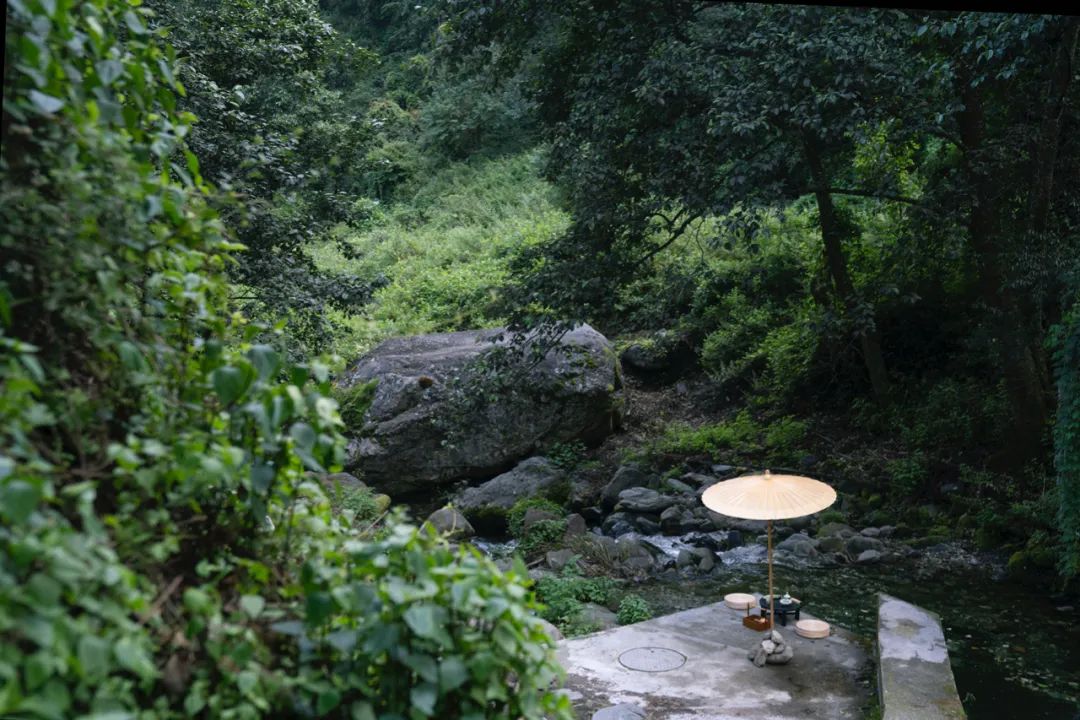 「莫催茶室」的明前绿茶 和 滇红茶