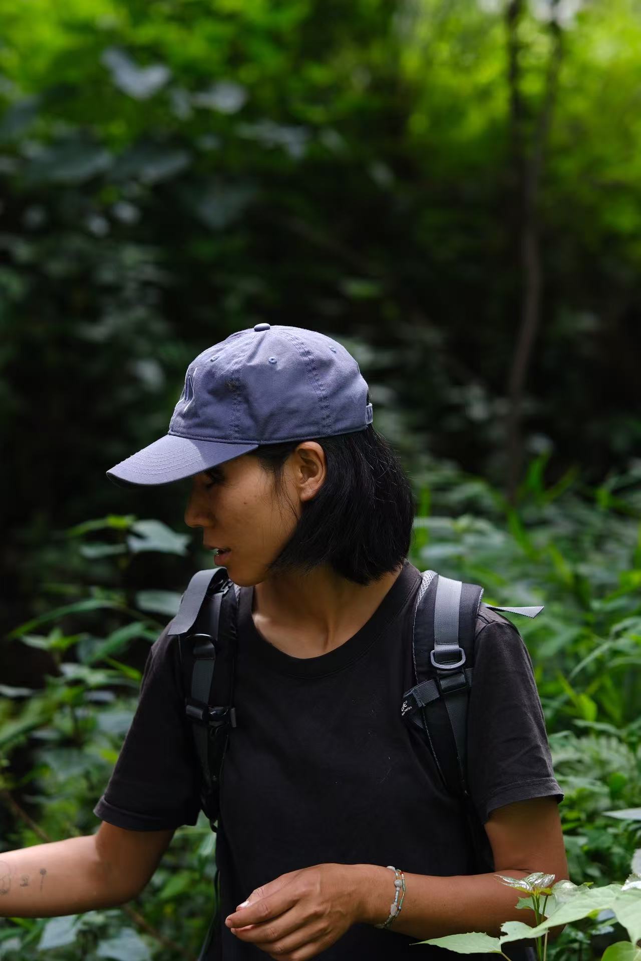 杨米