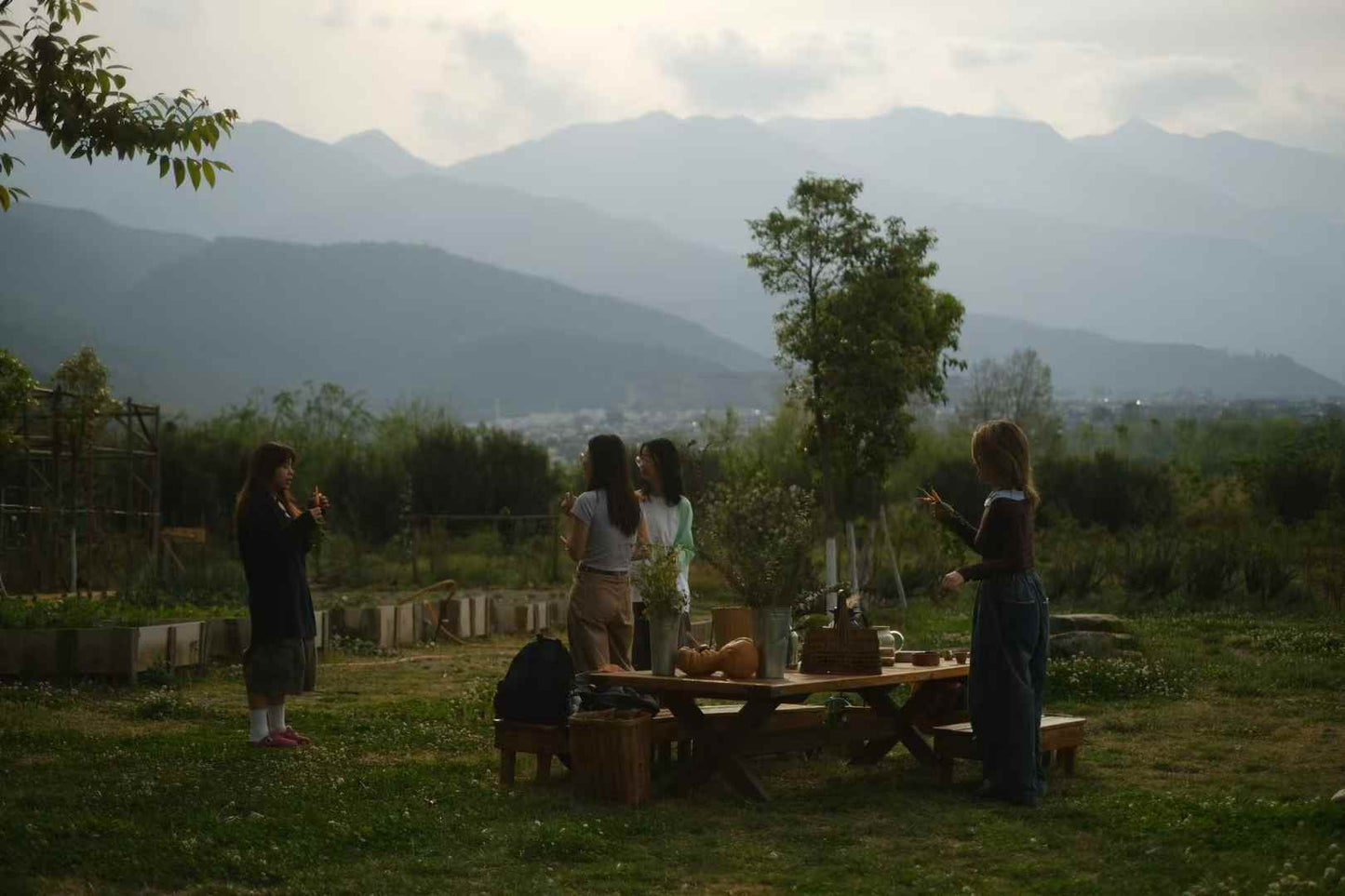 去有机农场采摘 | 和红红一起在家做饭