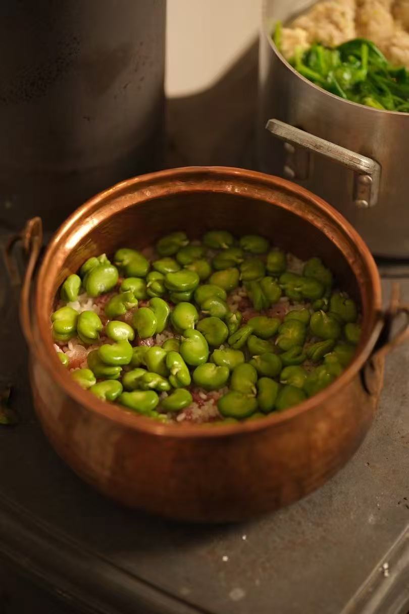 去有机农场采摘 | 和红红一起在家做饭