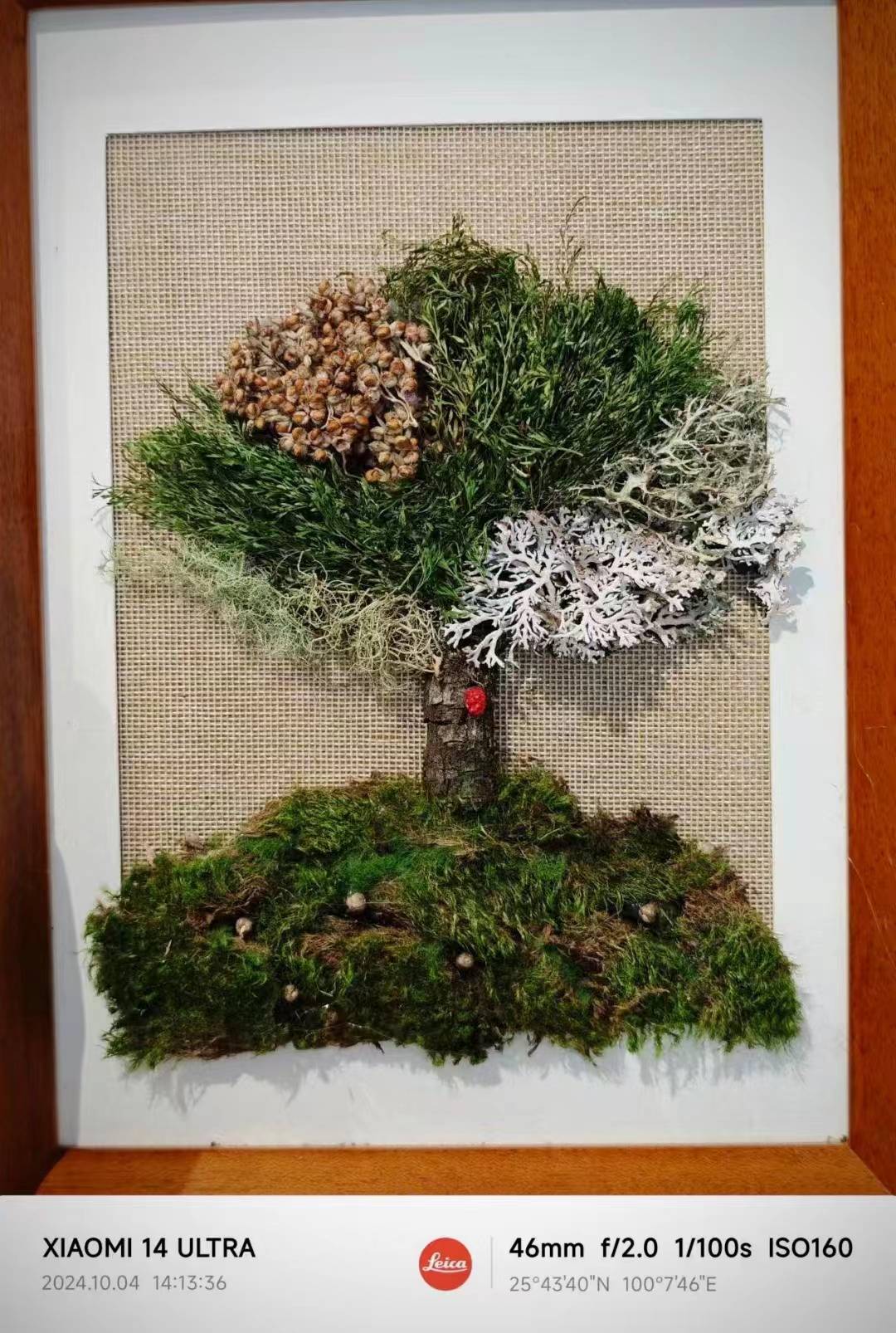 用植物和果实制作一幅画框