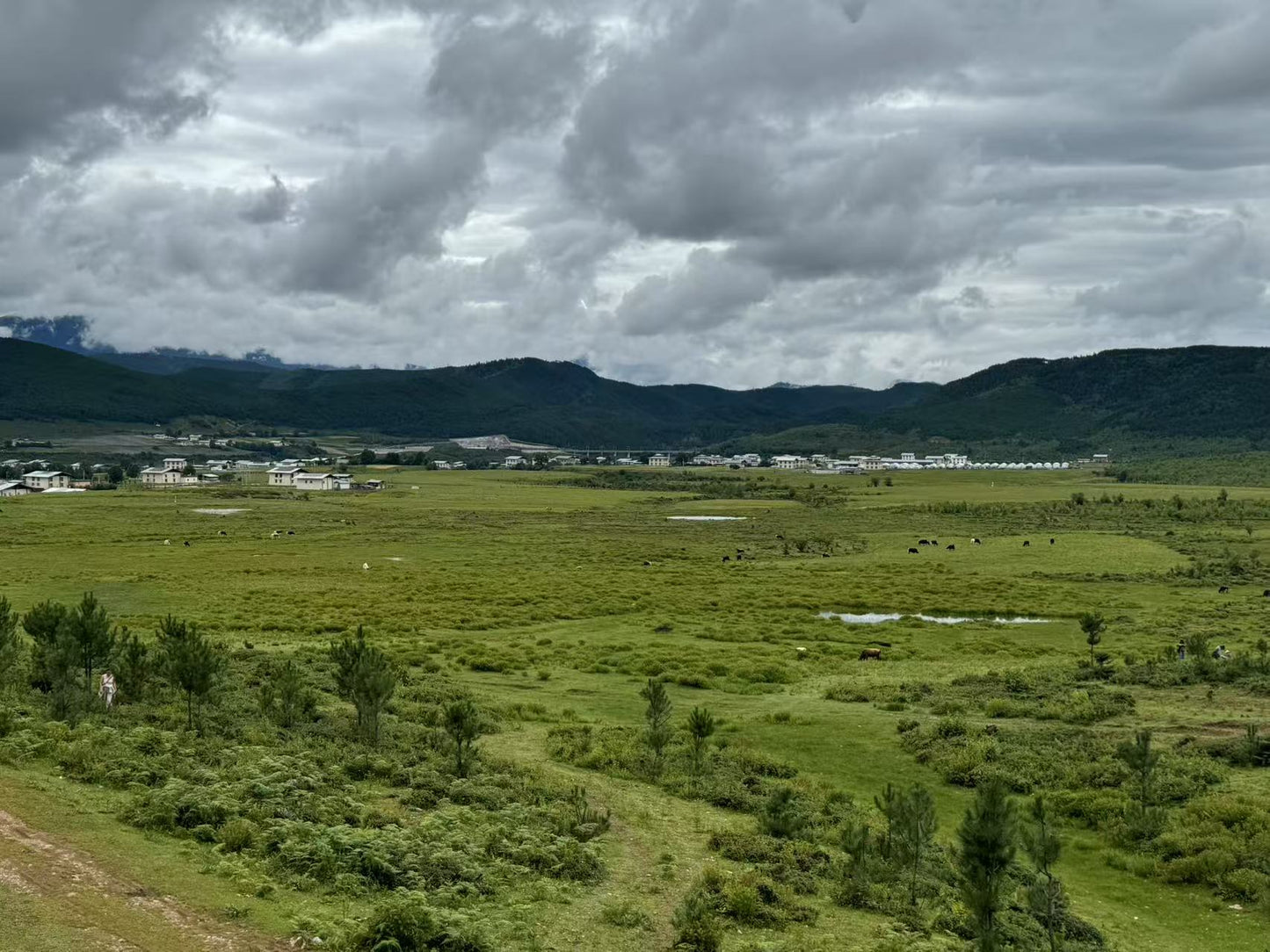 深入香格里拉牧区 2天的旅行