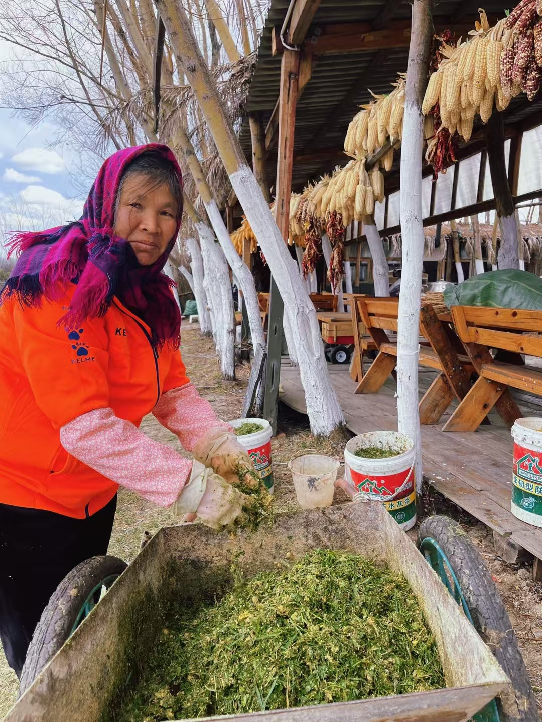 去有机农场采摘 | 和红红一起在家做饭