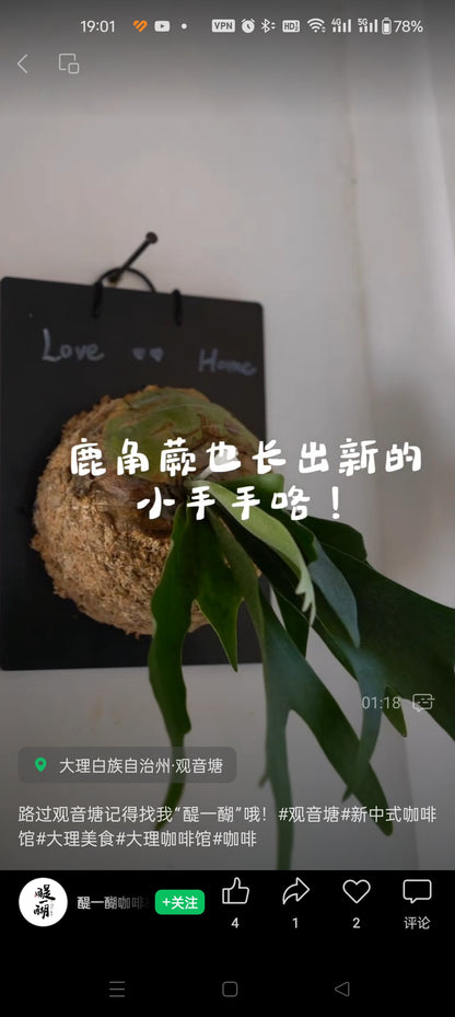 醍一醐寺院咖啡馆（观音塘）