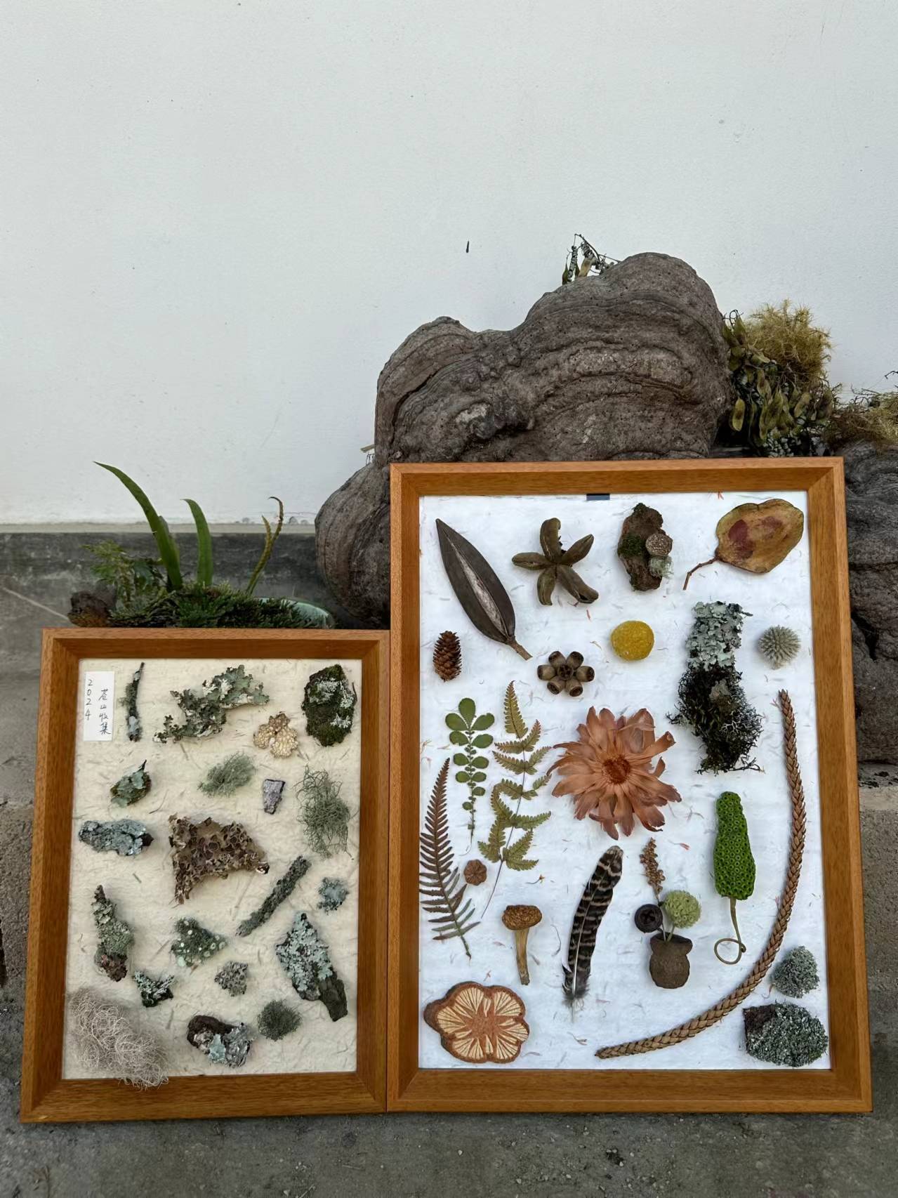 用植物和果实制作一幅画框