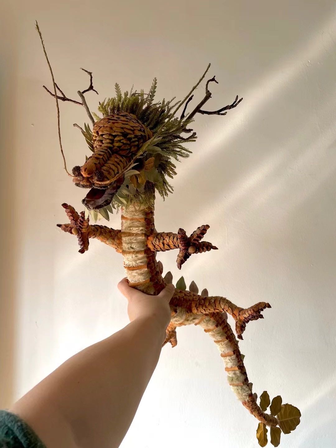 阿瓜 | 植物巨型昆虫定制