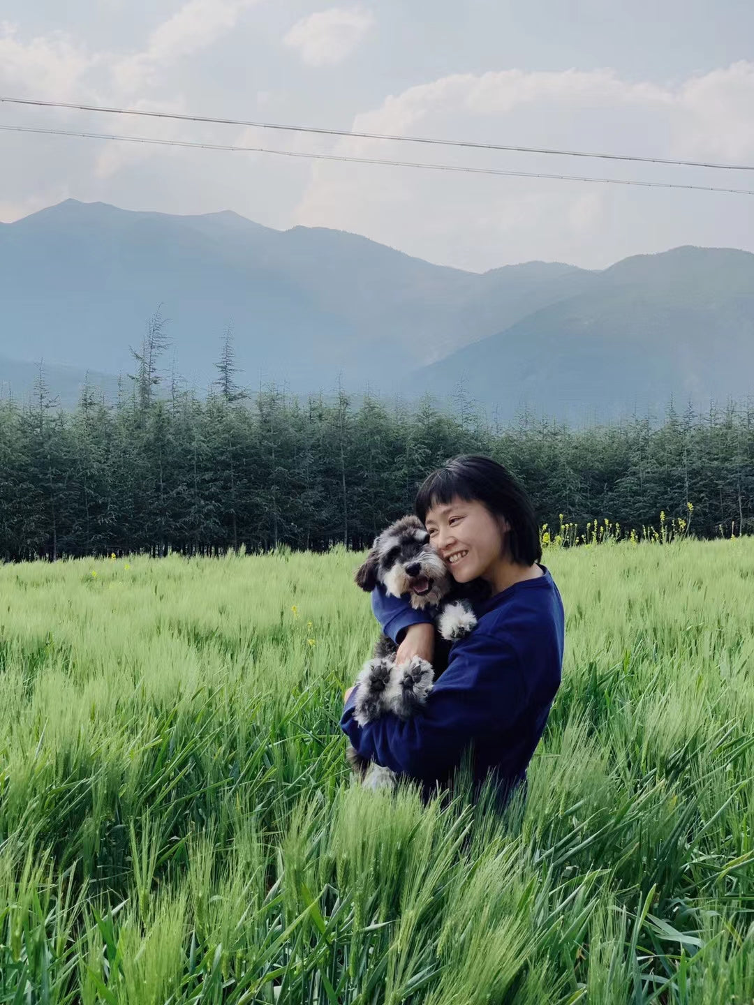 杂草景