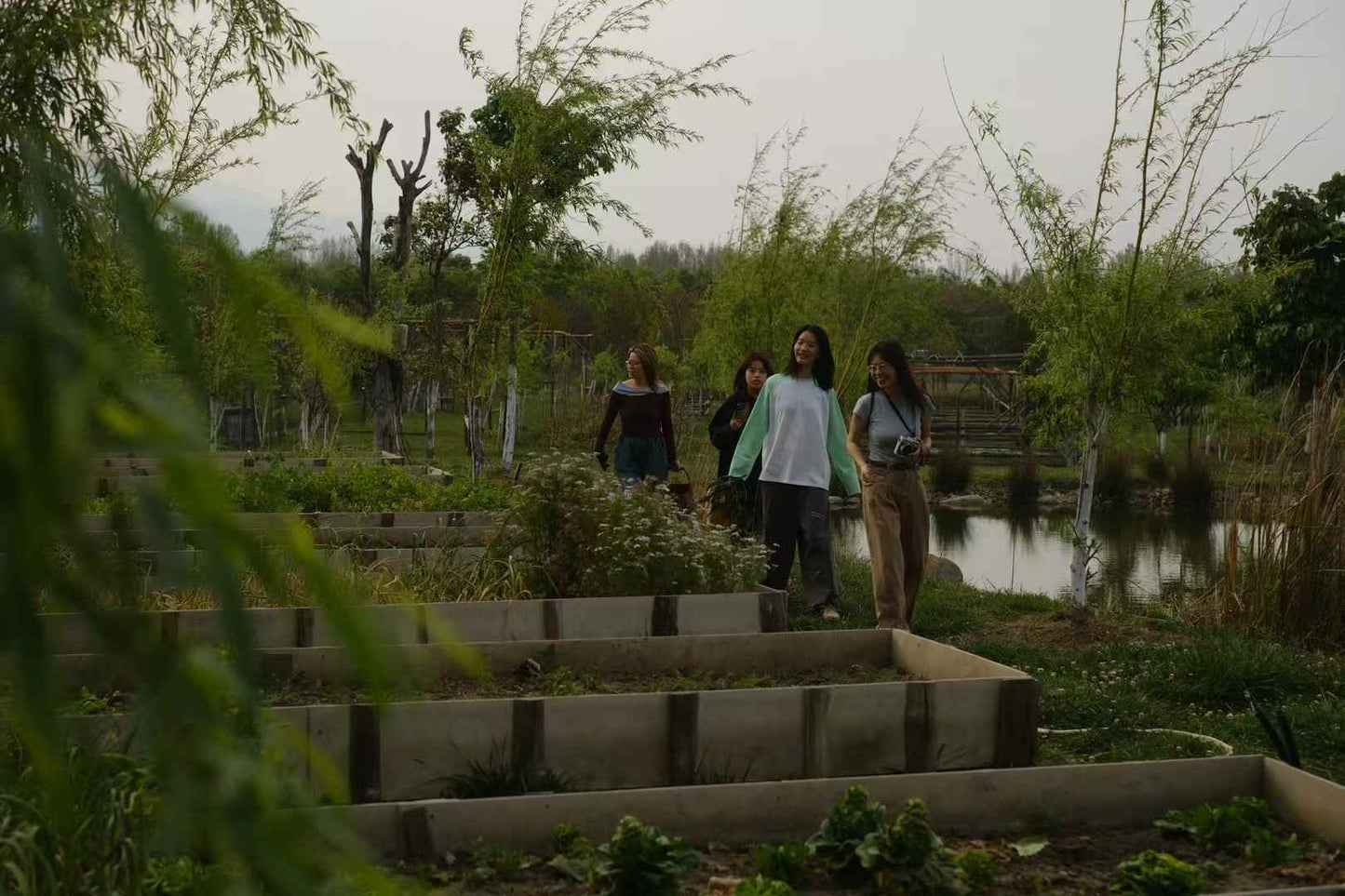 去有机农场采摘 | 和红红一起在家做饭
