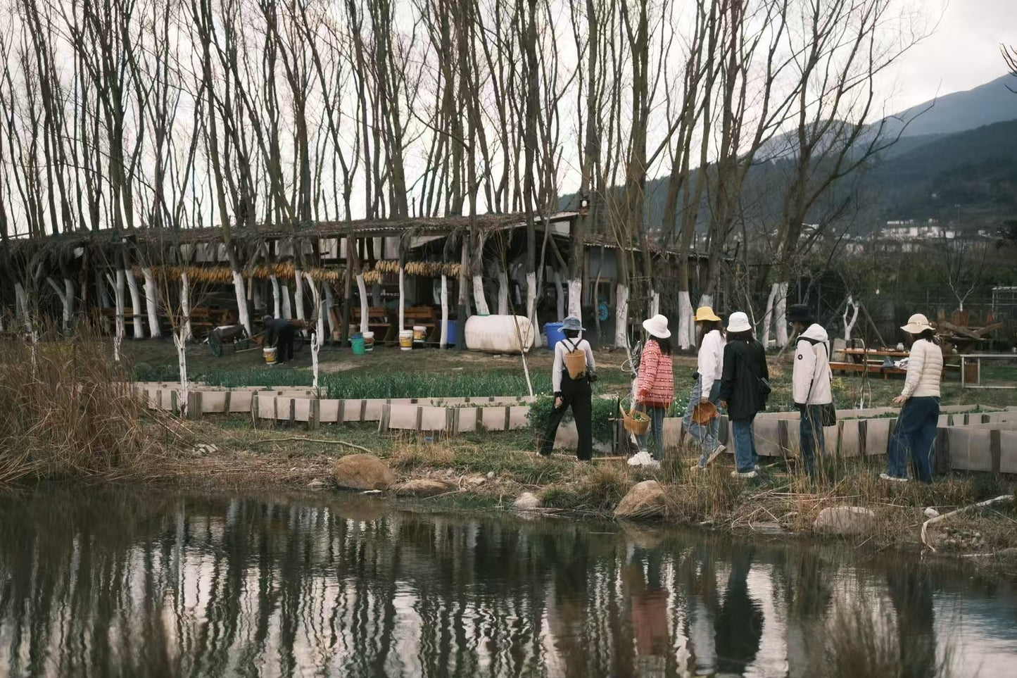 去有机农场采摘 | 和红红一起在家做饭