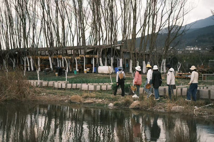 去有机农场采摘 | 和红红一起在家做饭