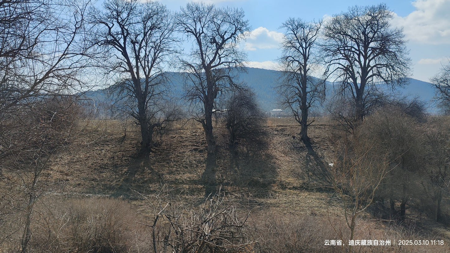 深入香格里拉牧区 2天的旅行