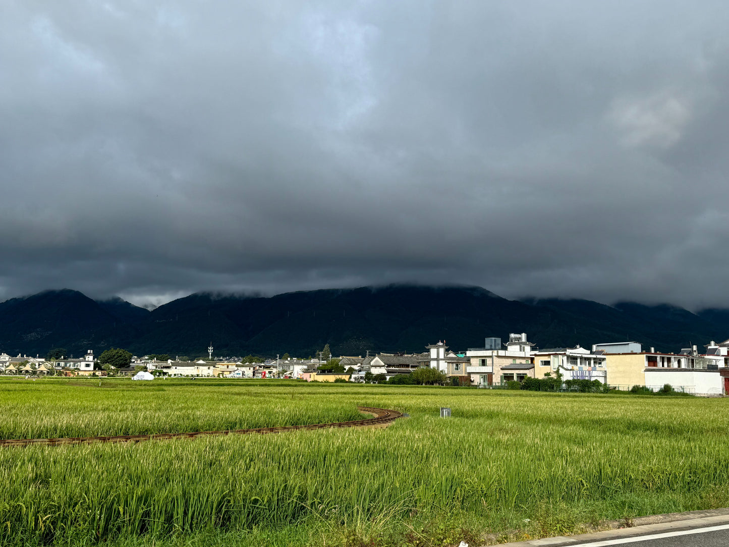 喜洲骑行 | 和兰迪探索村庄，田野和洱海