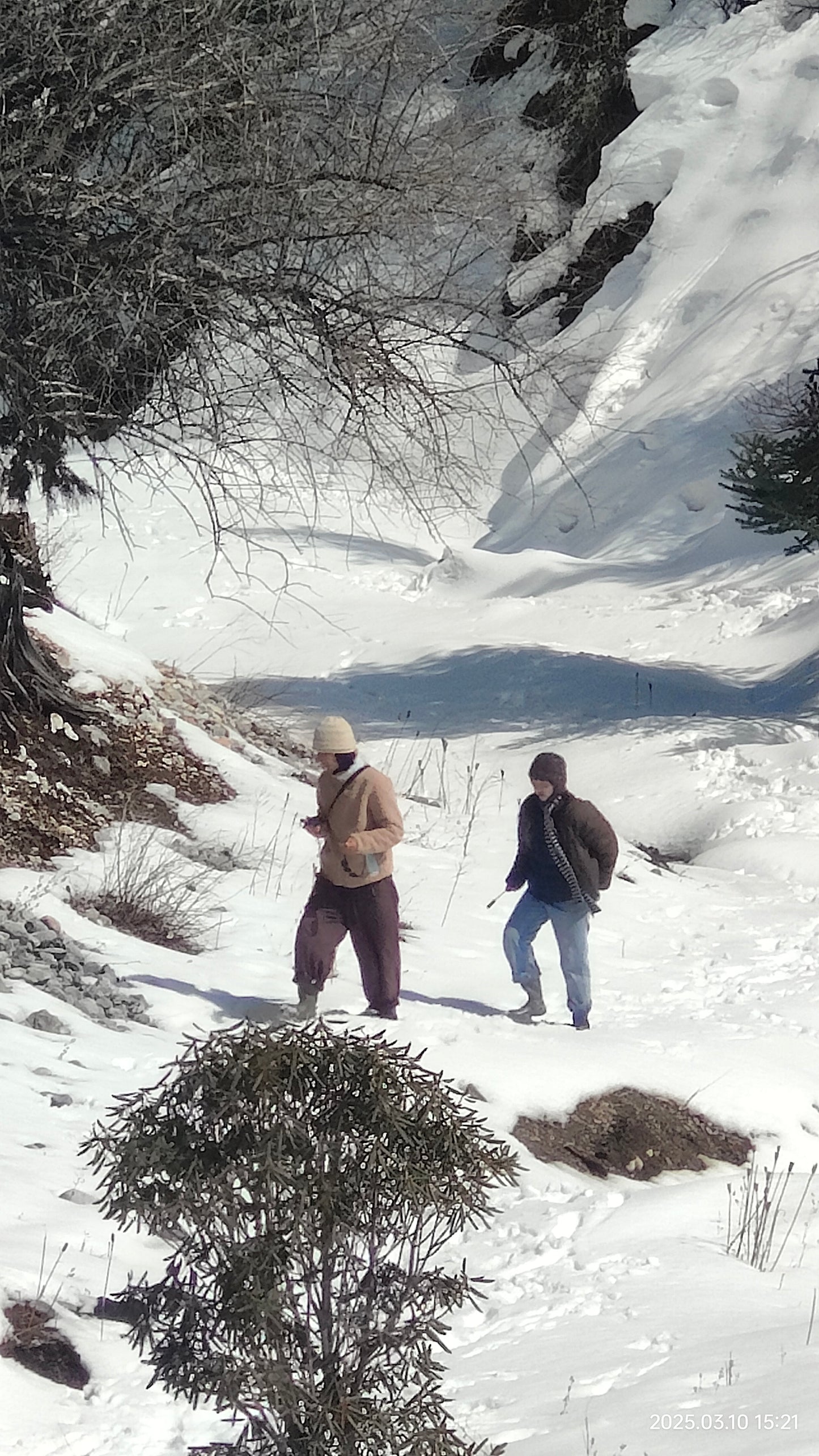深入香格里拉牧区 2天的旅行