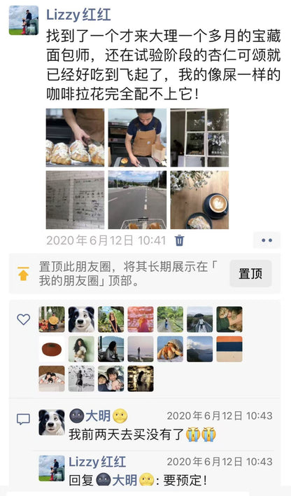 三内可颂