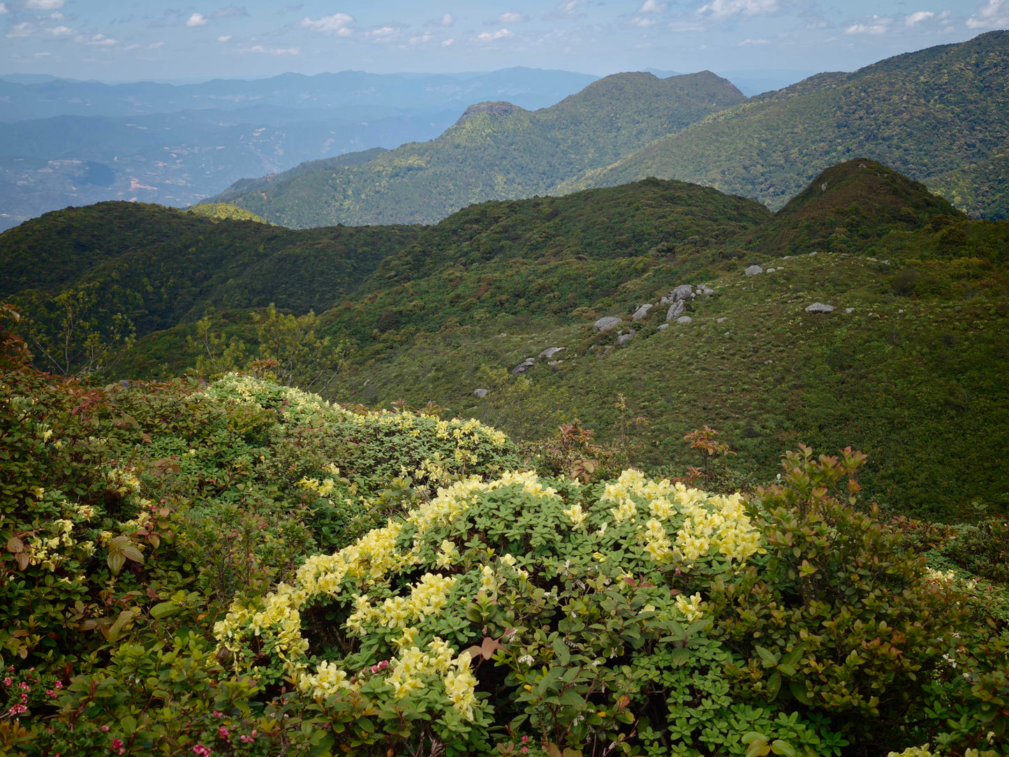 寒寒的哀牢山森林徒步（2天旅行）