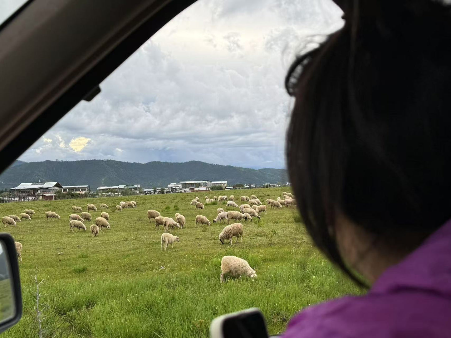 深入香格里拉牧区 2天的旅行