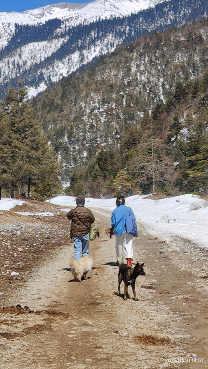 深入香格里拉牧区 2天的旅行