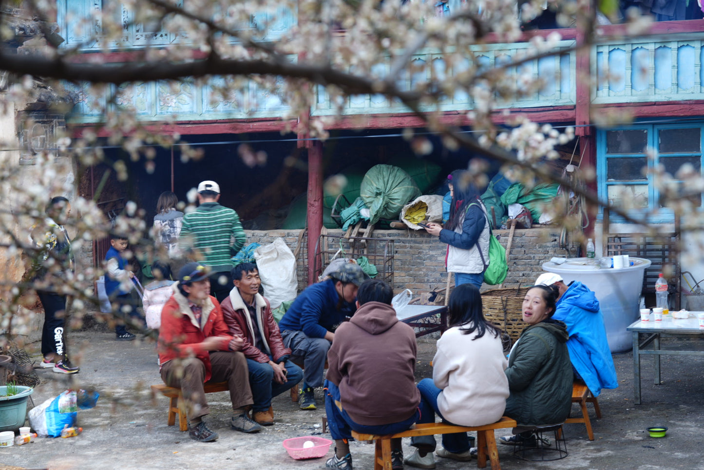 松鹤村毛哥家