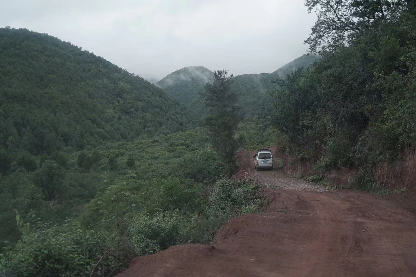 松鹤村毛哥家