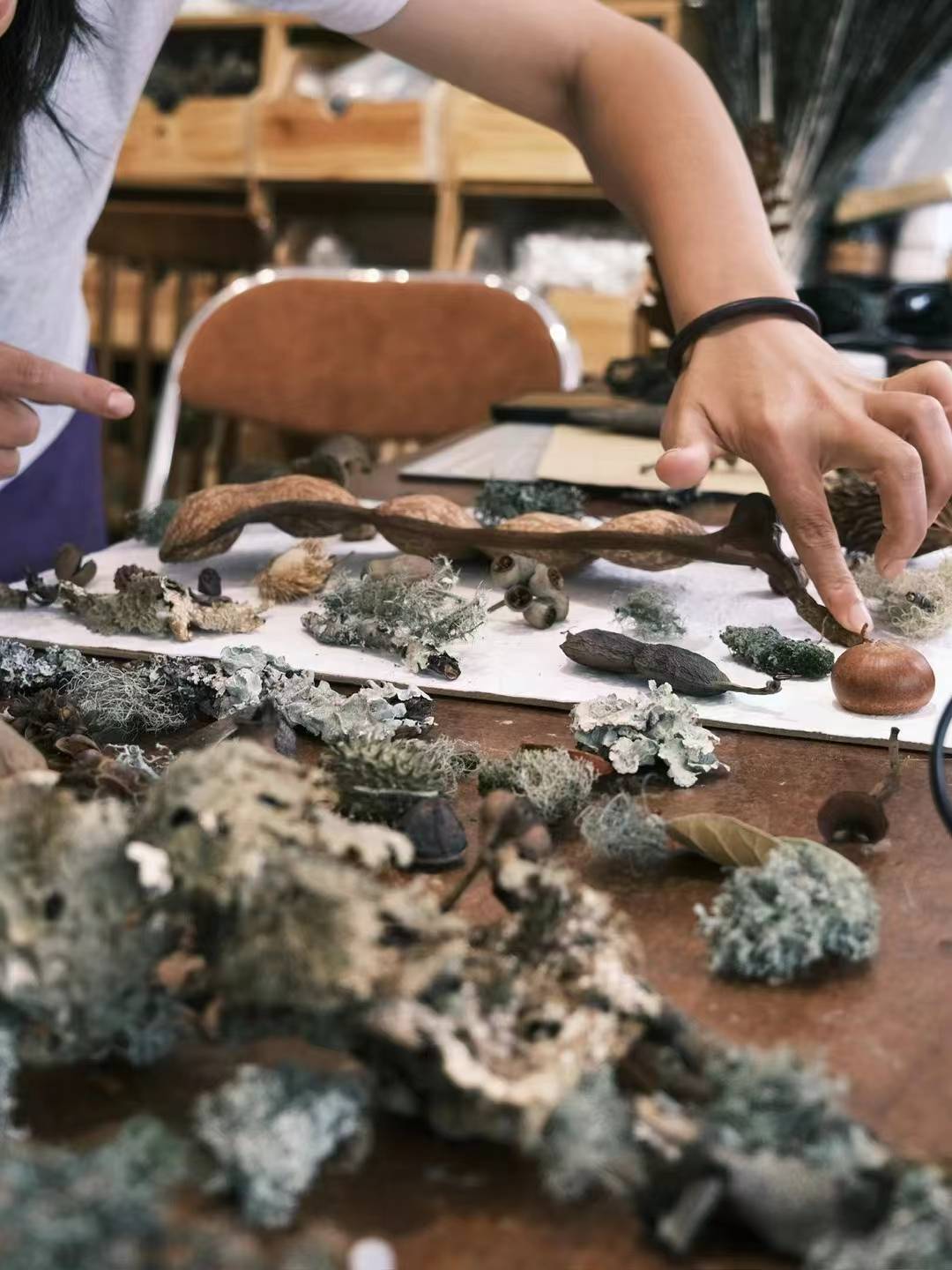 用植物和果实制作一幅画框