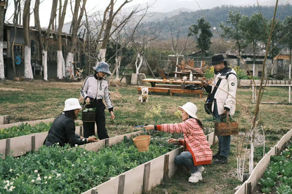 去有机农场采摘 | 和红红一起在家做饭