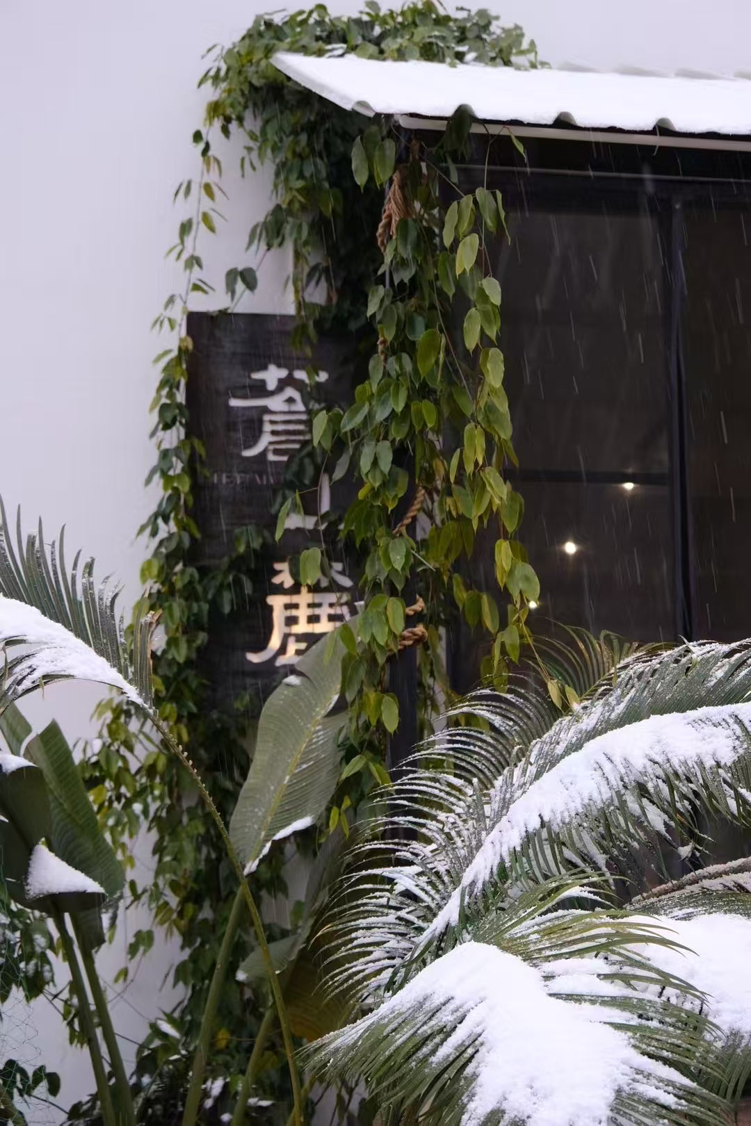 Restaurant Cangshanlu | Mer