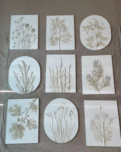 阿瓜 | 植物拓印石膏浮雕