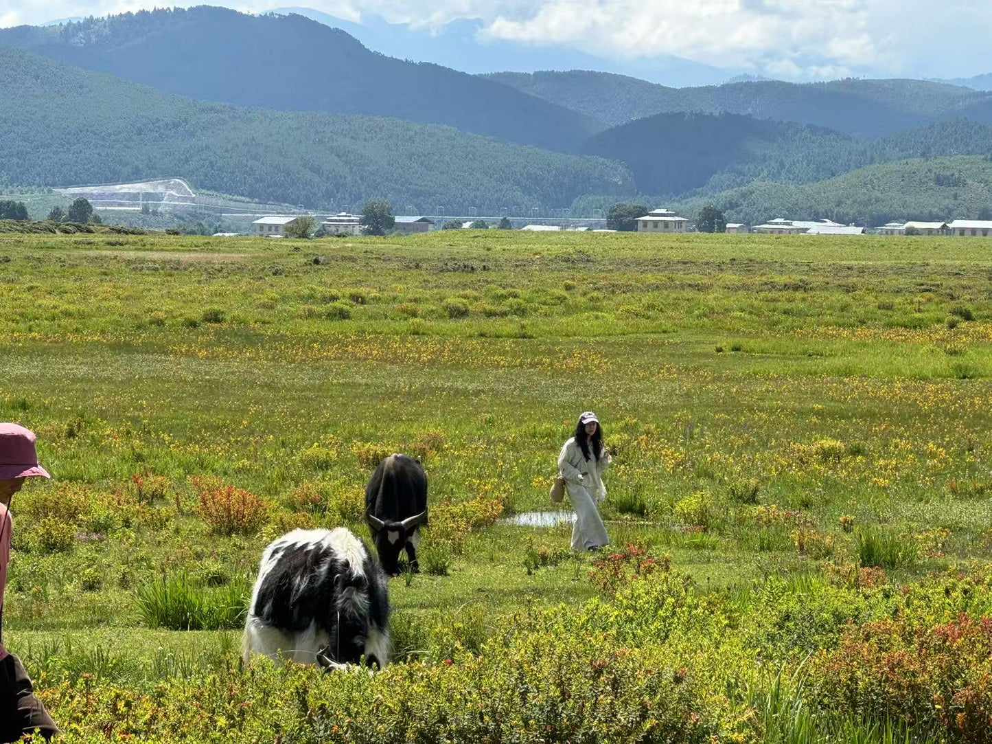 深入香格里拉牧区 2天的旅行