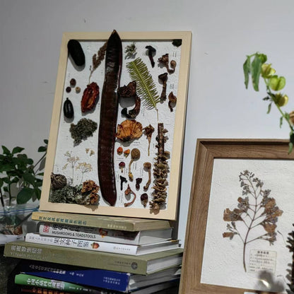 用植物和果实制作一幅画框